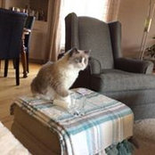 Marilyn Stirling's photo