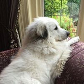 Ted Bear's Mum's photo