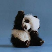 Alison Robinson's photo