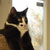 Susan Roth's photo