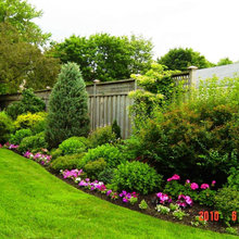 Our Backyard