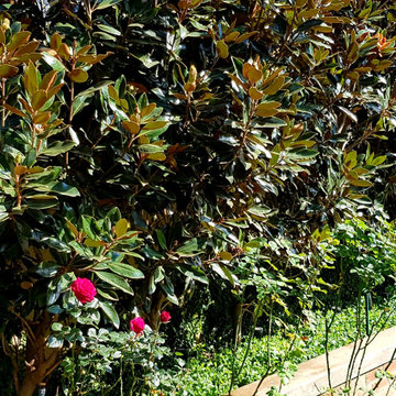 Gorgeous Gardens planters, raised flower beds