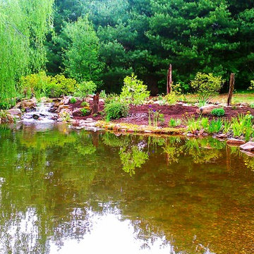 Ecosystem pond
