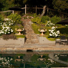 Landscape Ideas