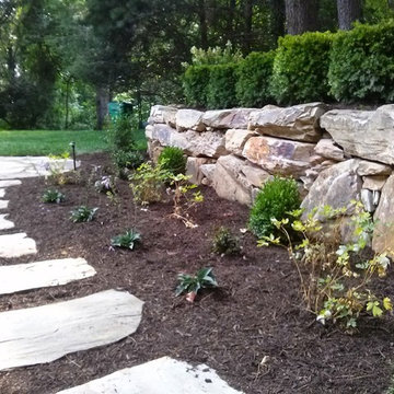 Back Yard Renovation