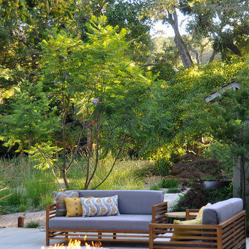 LotusLand South aka Sycamore Canyon Landscape