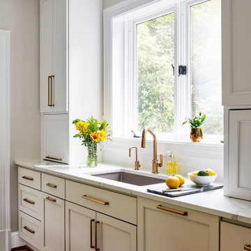 Stylish Kitchen Remodel in Washington, DC