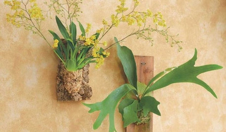 Guest Picks: 20 Uncommonly Attractive Pots and Planters