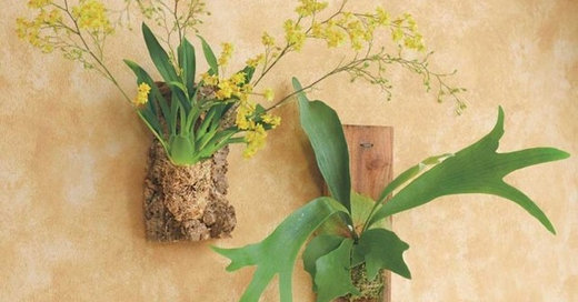 Guest Picks: 20 Uncommonly Attractive Pots and Planters