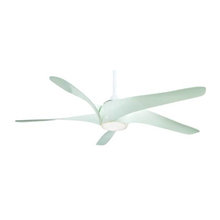 Ceiling fan