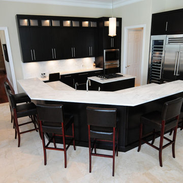 Avila - Transitional - Contemporary Kitchen Upgrade