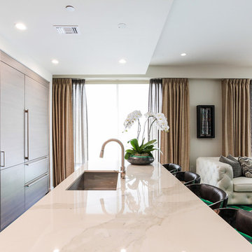 Luxury Downtown Condo