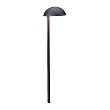 Backyard path lights