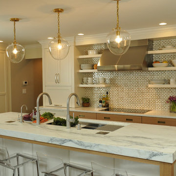 Contemporary Kitchen with a Mid-Century Vibe - Glen Ellyn, IL