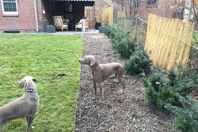 Photo of a mid-sized contemporary backyard landscaping in Denver for fall.