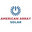 American Array Solar & Roofing