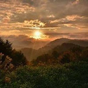 Nancy Whaley's photo