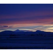 Jacque Taylor's photo