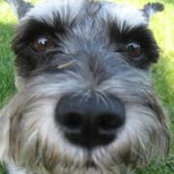 Michael Wolf's photo