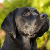 Jill Easton's photo