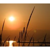 April VanBeek's photo