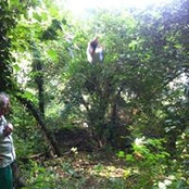 Foto de Sam Betts
