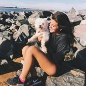Stephanie Strout's photo