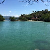 Ines Leal's photo