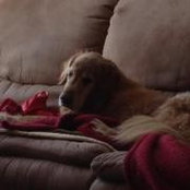 Foto de Molly LaFay Sullivan