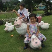 Wikrom Jumnongjit's photo