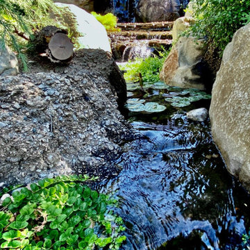 Beautiful Waterfalls Features