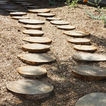 Ecological Courtyard