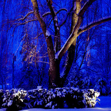 Winter Wonderland Lighting