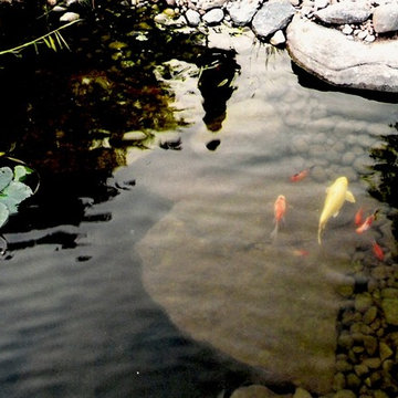 Ponds & Water features