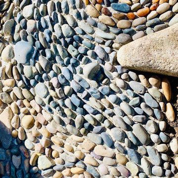 Reflexology Paths