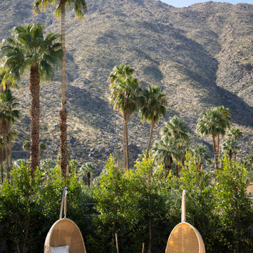 Mesa Modern - Modernism Week