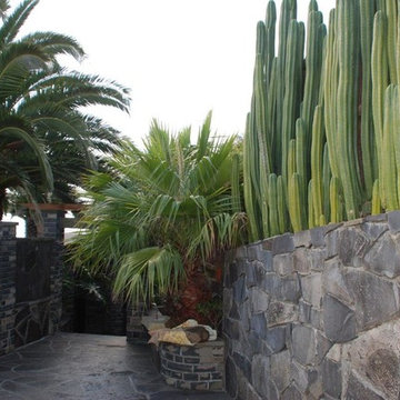Coastal Palm Garden