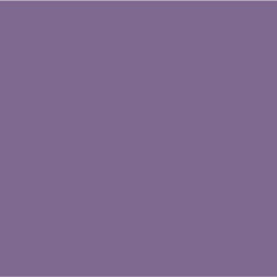 Dulux Champion - Paint