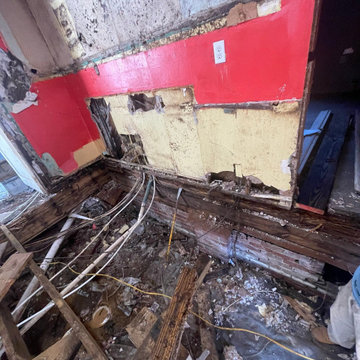 Termite Damage Is at it Again