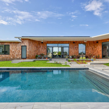 Modern Oasis