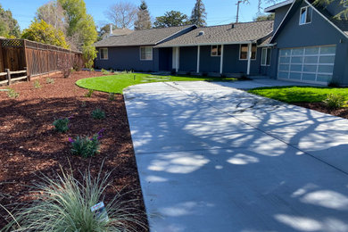Design ideas for a modern landscaping.