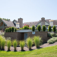 Landscaping ideas
