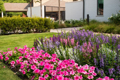 Inspiration for a transitional full sun landscaping in Dallas.