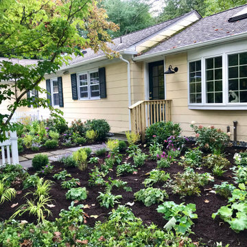 Lawn replacement pollinator garden