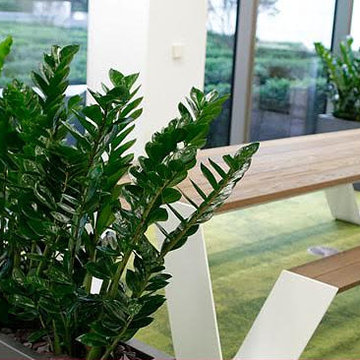 Interior Services