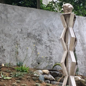Sculptural Canyon Garden with Low Water Succulents