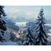 Istvan Peteranecz's photo