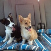 Jessica Denney's photo