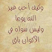 Amr Eslam's photo