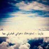 Najlaa Kamfar's photo